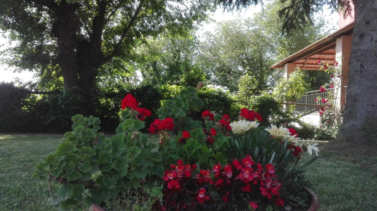 Pietralta Villa *