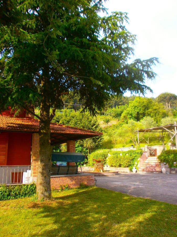 Pietralta *